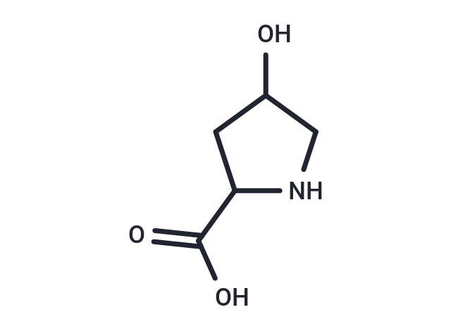 L-Hydroxyproline: 胶原稳定与细胞外基质调控的关键手性砌块