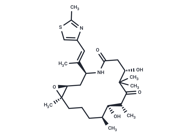 Ixabepilone: 稳定微管与诱导凋亡的精准化疗利器