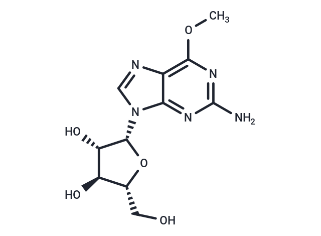 Nelarabine: 通过复制压力诱导细胞凋亡的创新抗肿瘤利器