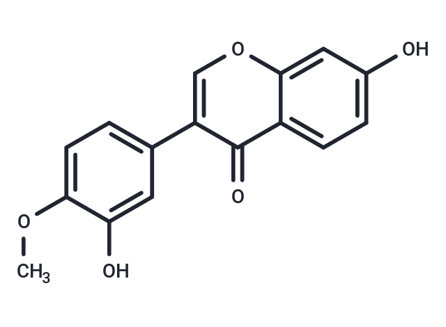 Calycosin: 多靶点调控下的选择性雌激素受体调节剂与免疫调节新星