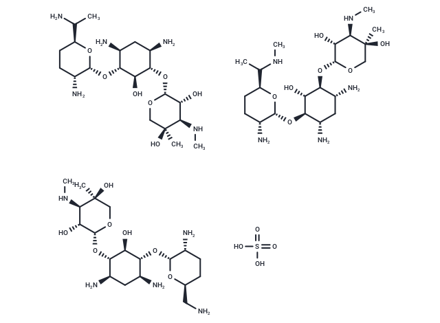 Gentamicin sulfate: 解码细菌核糖体，开启抗菌新视界