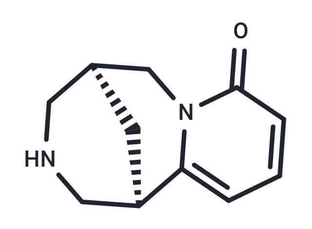 Cytisinicline: 精准调控烟碱型乙酰胆碱受体的部分激动剂新利器