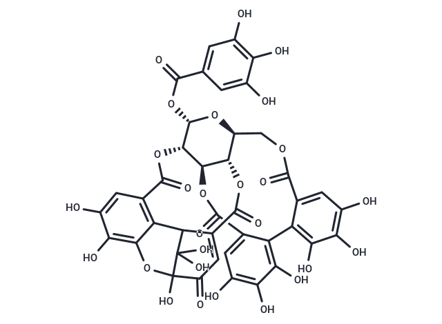 Geraniin: 抗氧化与调控炎症通路的多功能天然鞣质