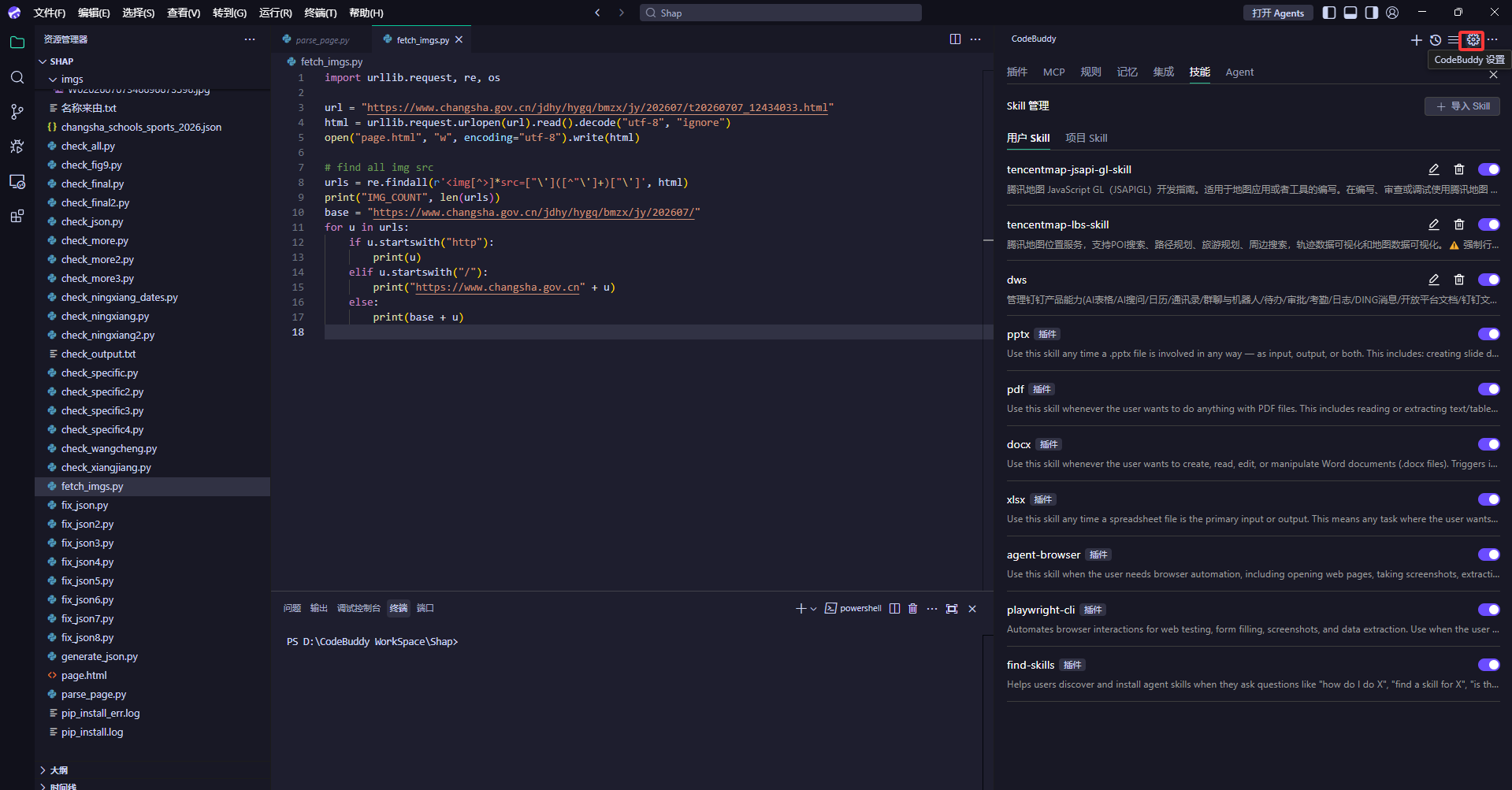 CodeBuddy 技能设置