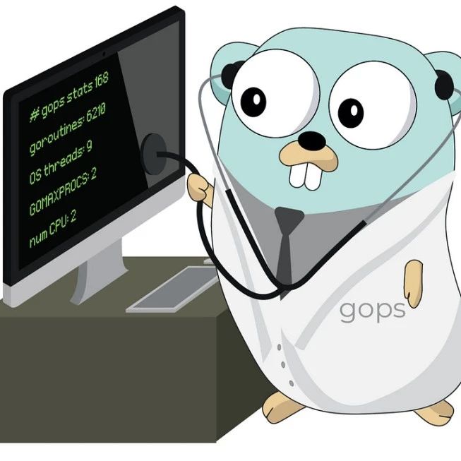 Go：深入探讨 debug`库及其在系统运维中的应用