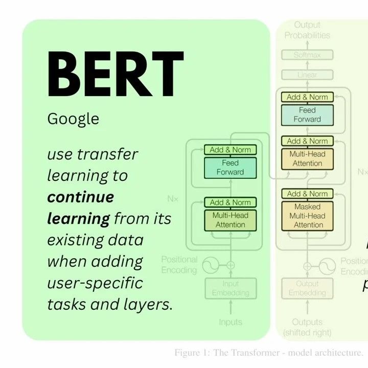 AI: GPT与BERT两大自然语言处理模型的比较