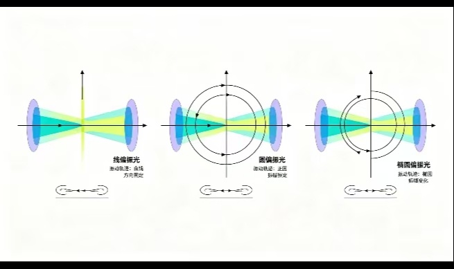 偏振光的类型和区别？