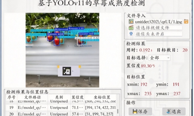 YOLOv11 草莓成熟度检测系统 草莓成熟度检测数据集