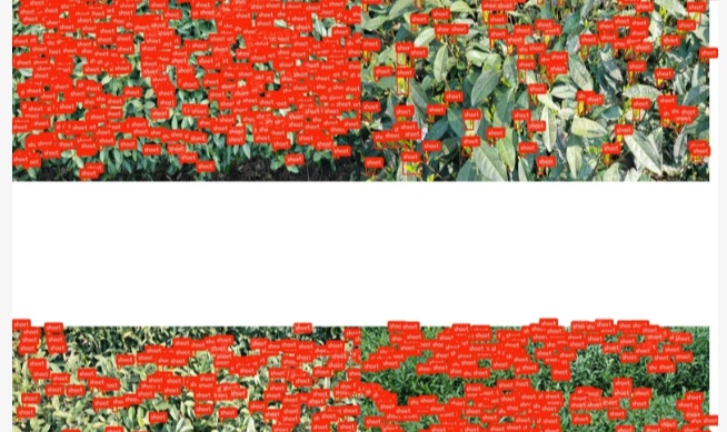 优秀的个人博客,低调大师