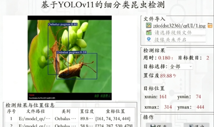 基于 YOLOv11 的细分类昆虫检测系统 昆虫目标检测数据集
