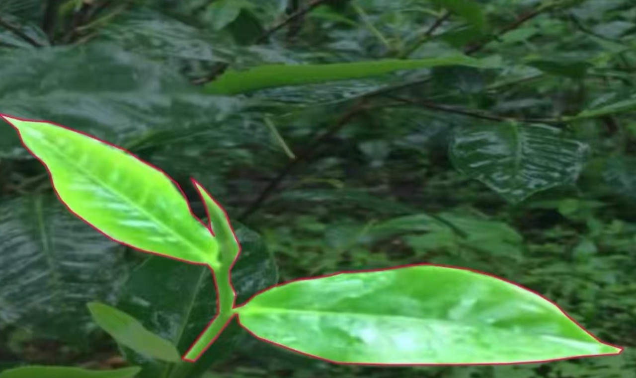 优秀的个人博客,低调大师