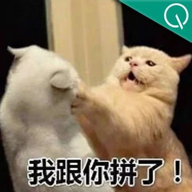 谷歌迎着ChatGPT炮火发布Bard！CEO下令全员测试，保卫搜索刻不容缓