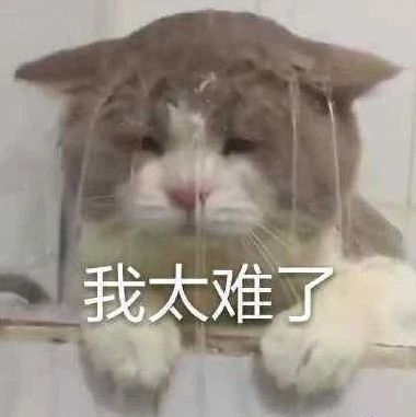 上班请病假还得看AI脸色，10秒钟判别真假，打工人太难了