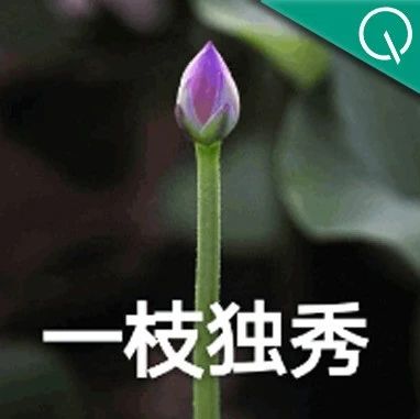 黑马！大模型竞技场榜单更新，国产玩家首次进入全球总榜前10