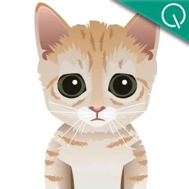 猫咪机器人下国际象棋快逼疯人类，顶级棋手也只能和它打成平局