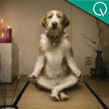 大模型靠“深呼吸”数学再涨8分！谷歌DeepMind发现AI自己设计提示词效果胜人类