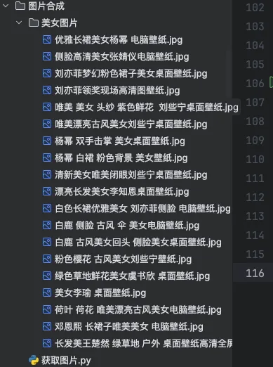 下载成功的图片