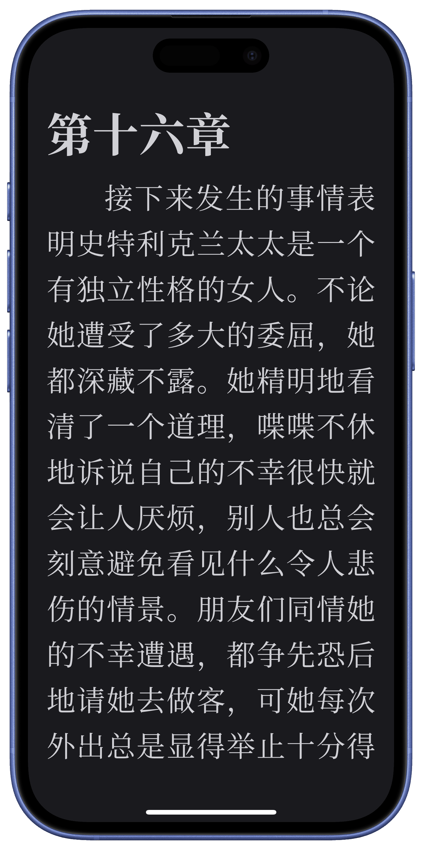 阅读器界面展示