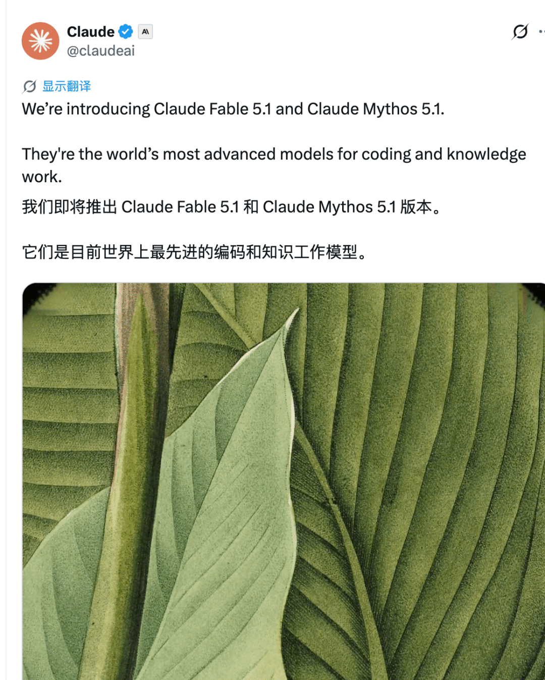 Claude 官方发布 Claude Fable 5.1 与 Claude Mythos 5.1