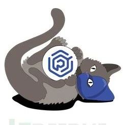 Gato：一款针对GitHub的信息枚举和渗透测试工具