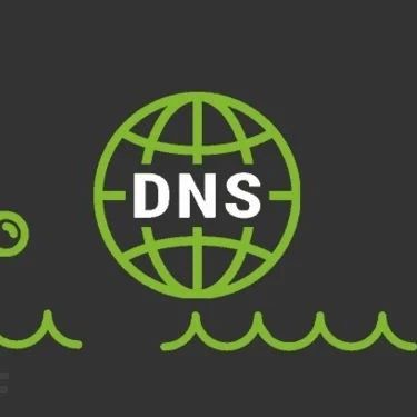 DNSWatch：一款功能强大的DNS流量嗅探和分析工具