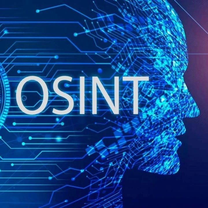 Chiasmodon：一款针对域名安全的公开资源情报OSINT工具