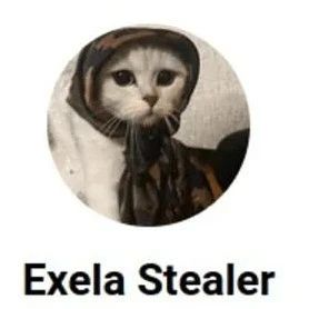 信息窃密木马入局新玩家：ExelaStealer