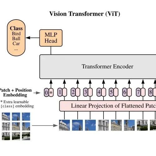 使用JAX实现完整的Vision Transformer
