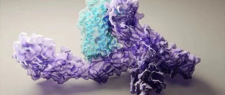 《科学》：媲美AlphaFold2的蛋白质结构预测新工具问世，一台游戏计算机十分钟出结果，完全免费