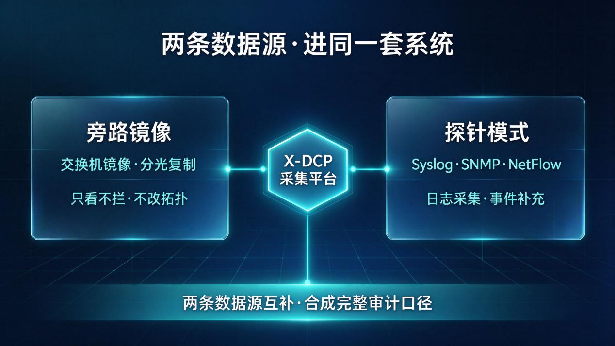 REWS核心模块(一):流量采集与元数据提取