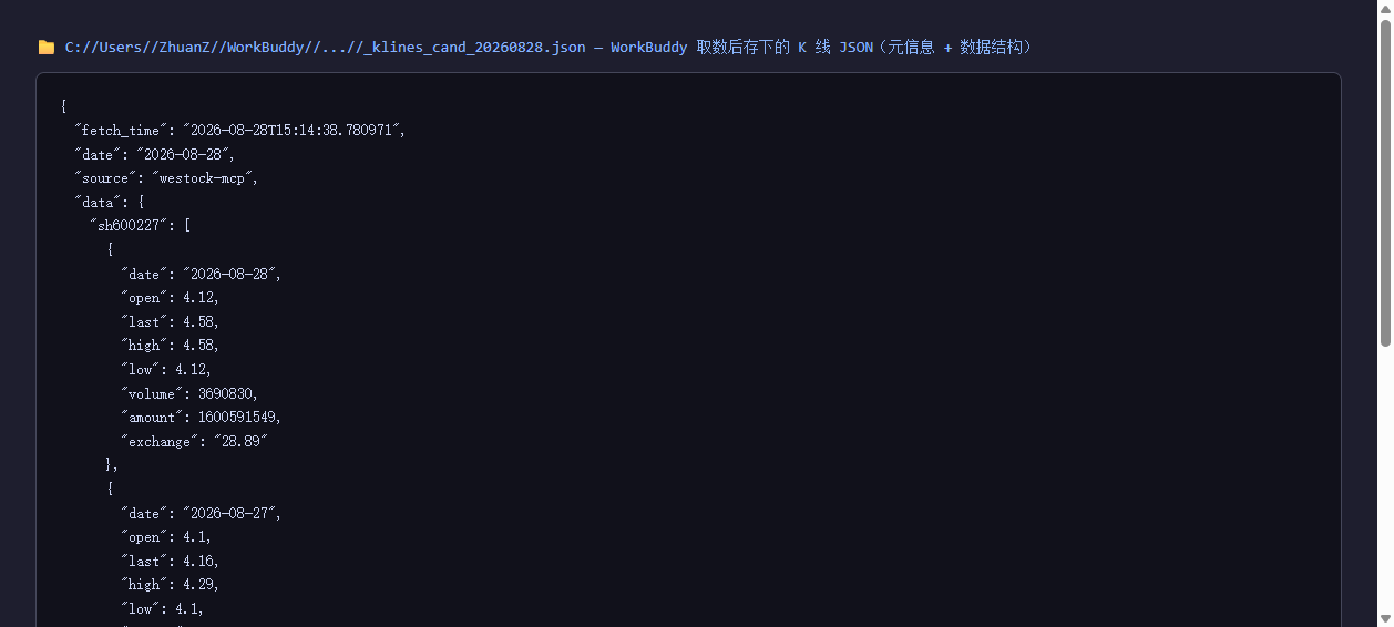实际存下来的 K 线 JSON 文件:fetch_time / date / source 元信息字段 + 结构化数据