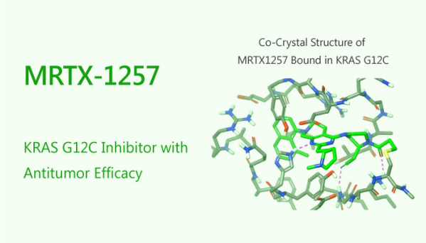 图 3. MRTX-1257 is a KRAS G12C Inhibitor with Antitumor Efficacy