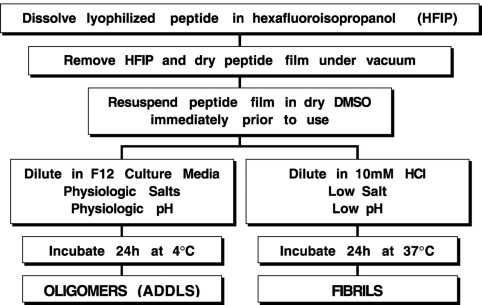 图 1. 制备Amyloid β-Peptide (1-42)寡聚体和纤维体的方法示意图[2]