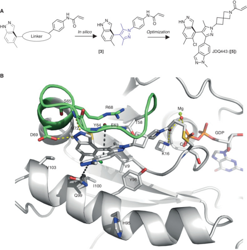 图 2. Design of JDQ443 and its binding mode to KRASG12C[6]