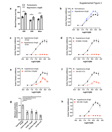 图 1. AbMole的Angiotensin II（血管紧张素II）成功诱导C57BL/6小鼠产生高血压[6]