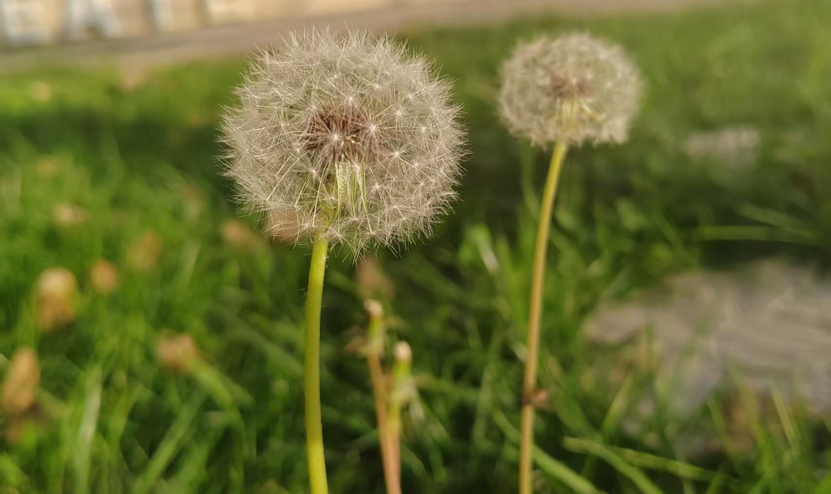 我把AI养在缸里：一个不懂编程的老师，如何开启缸养虾之旅