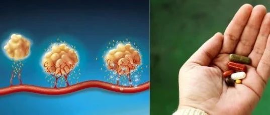 Cell-- 战胜癌症中的耐药性，组合疗法初见成效！