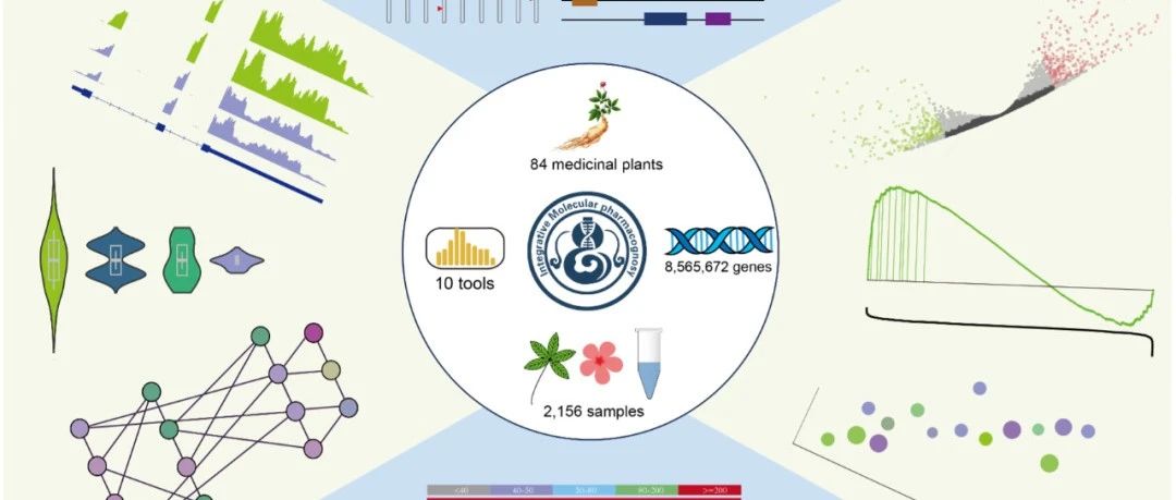 NAR | 整合药用植物组学平台 IMP中文教程（基因组更新到 466 个植物）
