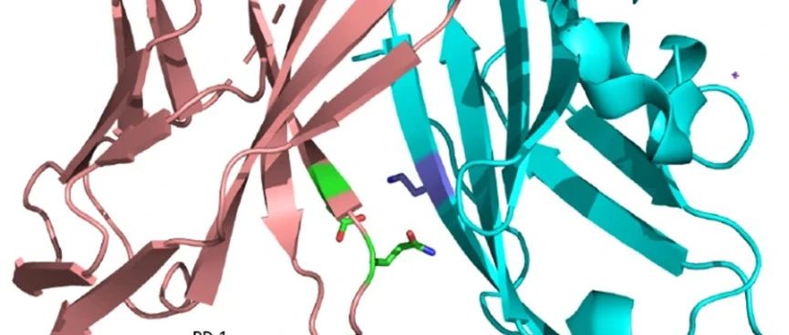 科学家如何破解基因密码，赋予蛋白质新的力量