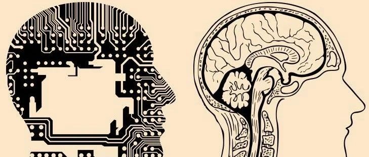 AlphaFold的极限:高中生揭示人工智能在生物信息学挑战中的缺陷