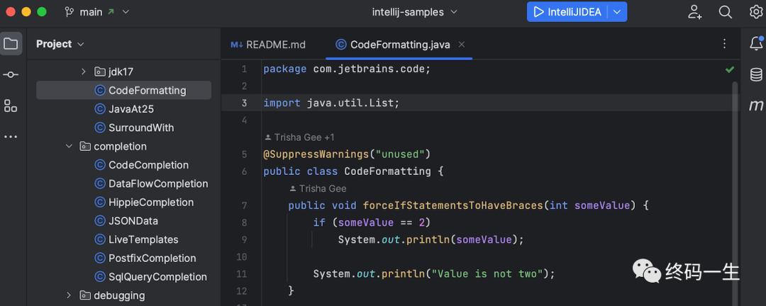 IntelliJ IDEA 2022.3 正式发布，跟不动了！