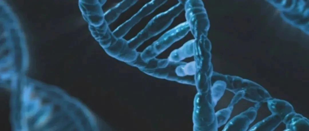 19-等位基因突变的肿瘤异质性（mutant-allele tumor heterogeneity，MATH）分数计算
