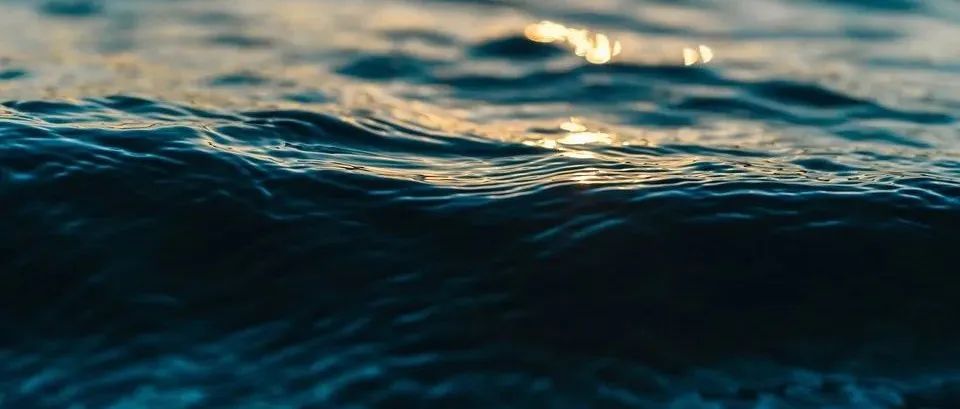 视觉 AI 少为人知的研究蓝海：临地安防