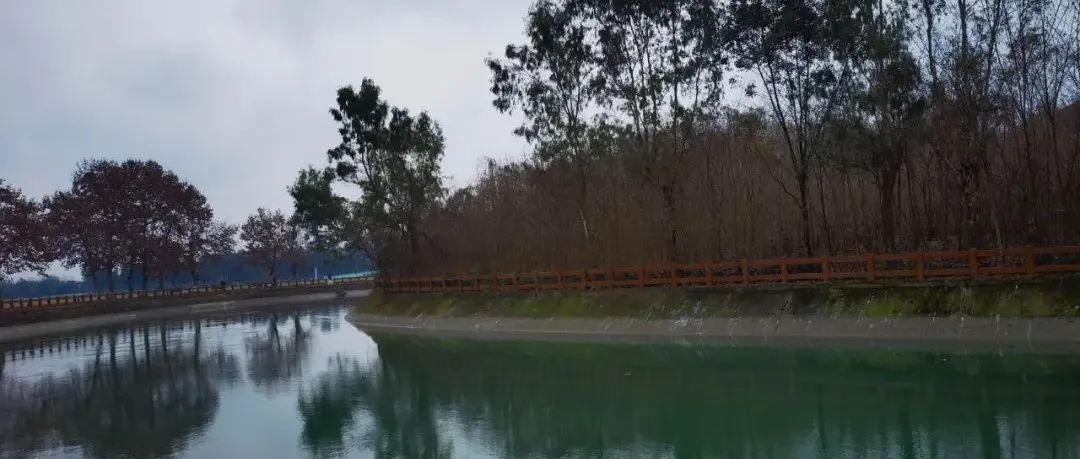 DDD的基础设施到底在哪里
