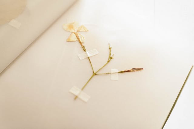 企服杂谈：零一万物可能是企业级AI的一个解法