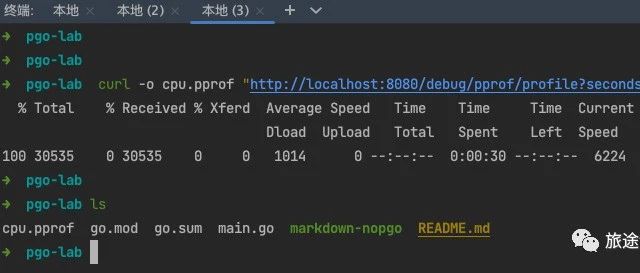 亲测体验Go语言PGO