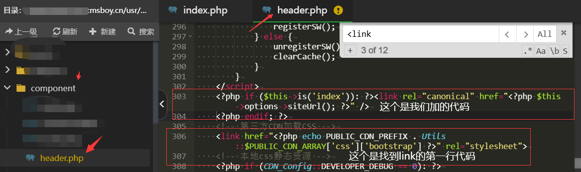 在header.php文件加的canonical唯一标签代码