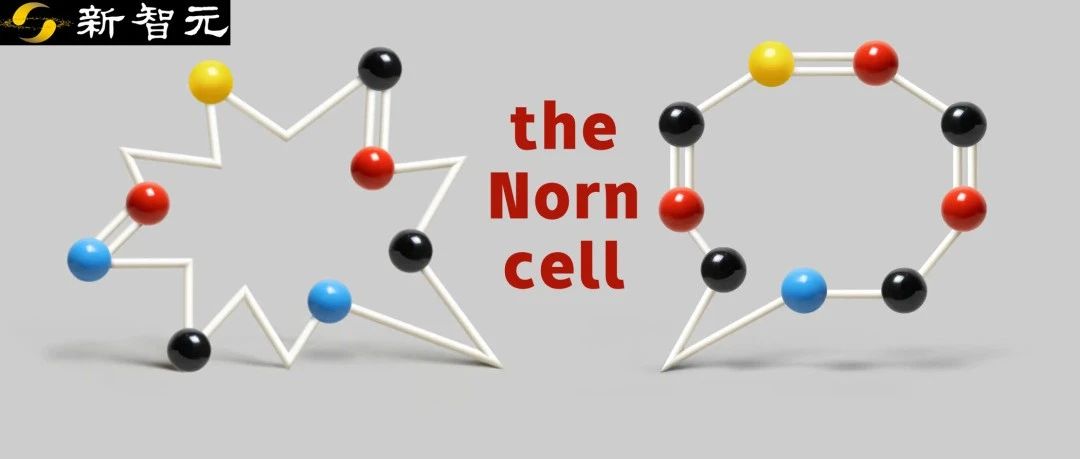 AI干6周=生物学家134年！斯坦福生物学基础模型开启生物学AI时代
