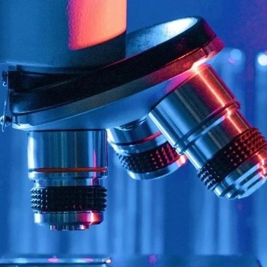 Nature封面：科学颠覆性进步明显「降速」，物理研究下跌100%