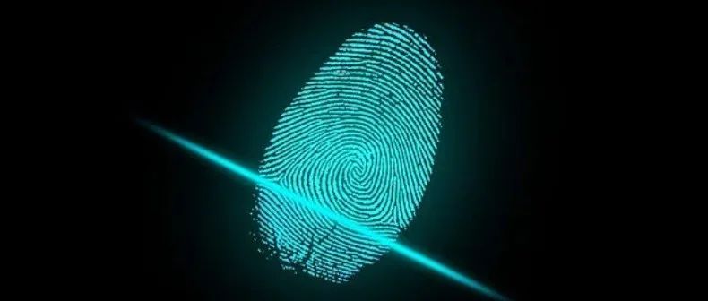 首次发现：你的大脑「指纹」，全球独一份